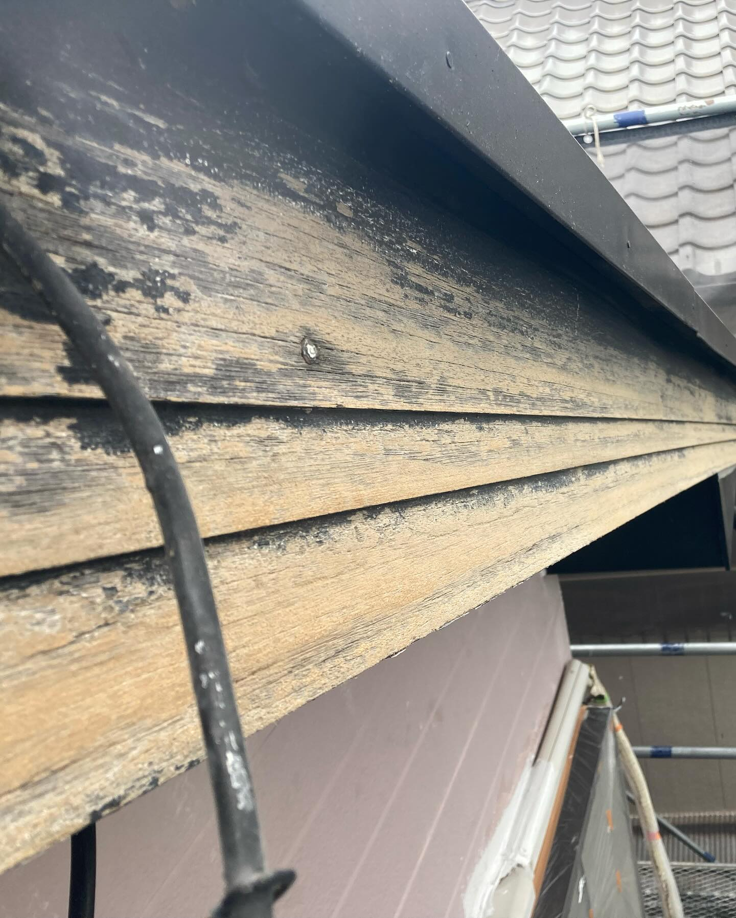 本日は多気郡N様邸にて、先日行ったシーリング打ち替え作業に続...