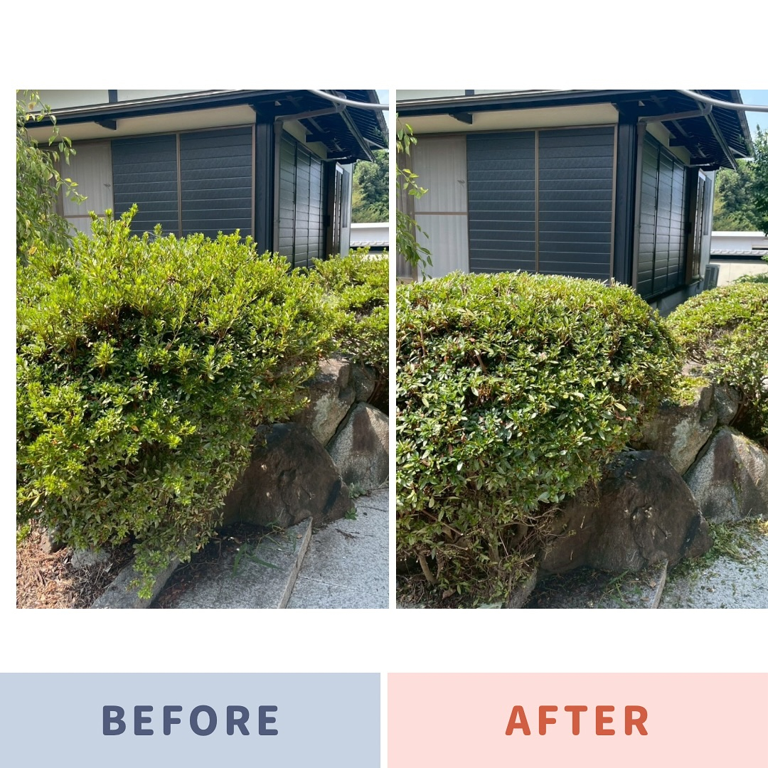 以前に外壁塗装でご依頼いただいたお客様のお庭で、