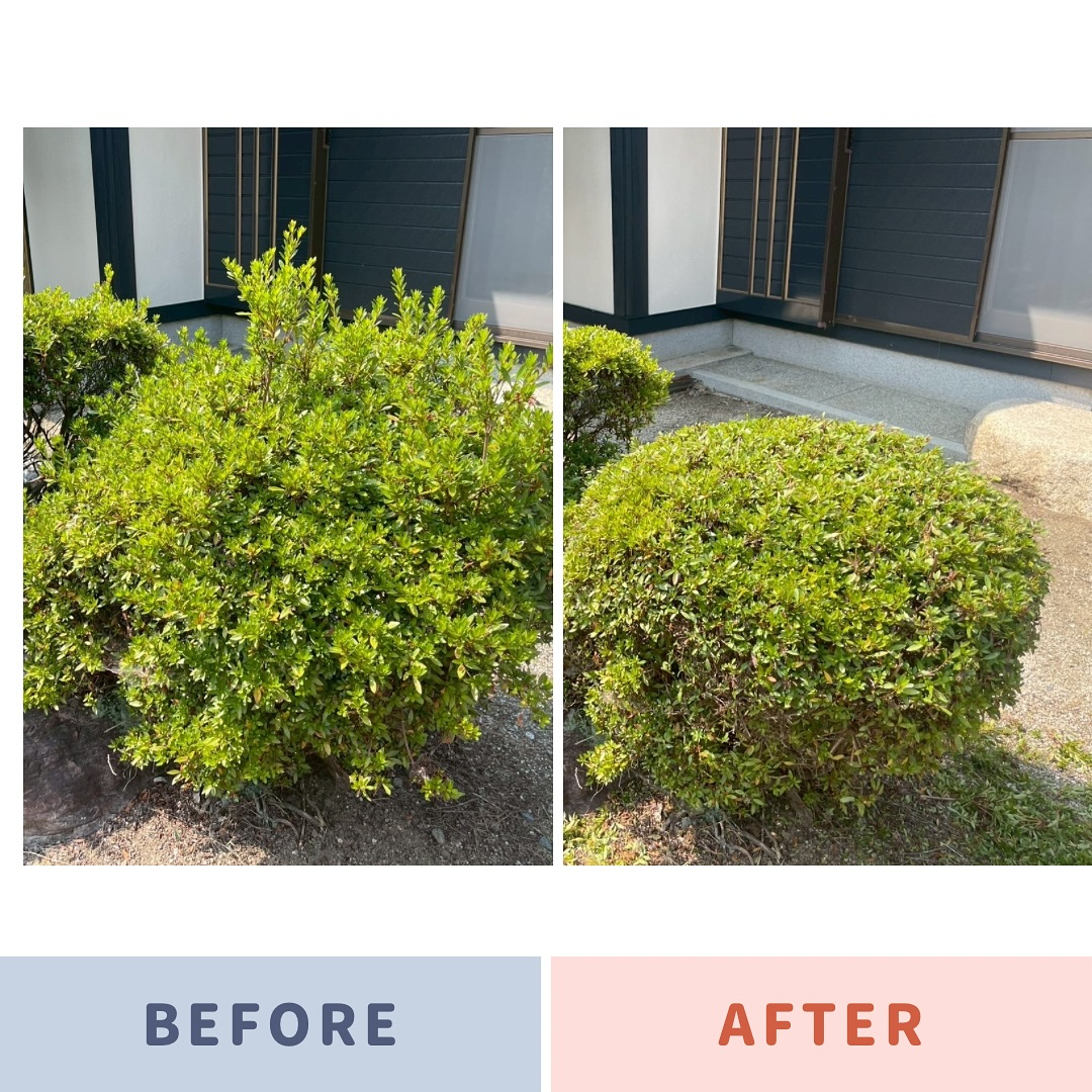 以前に外壁塗装でご依頼いただいたお客様のお庭で、