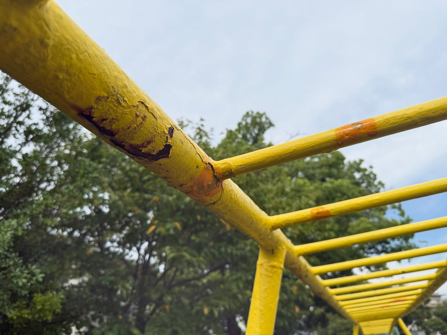 今年の8月で創業5周年を迎えるにあたり、地域への恩返しの思い...