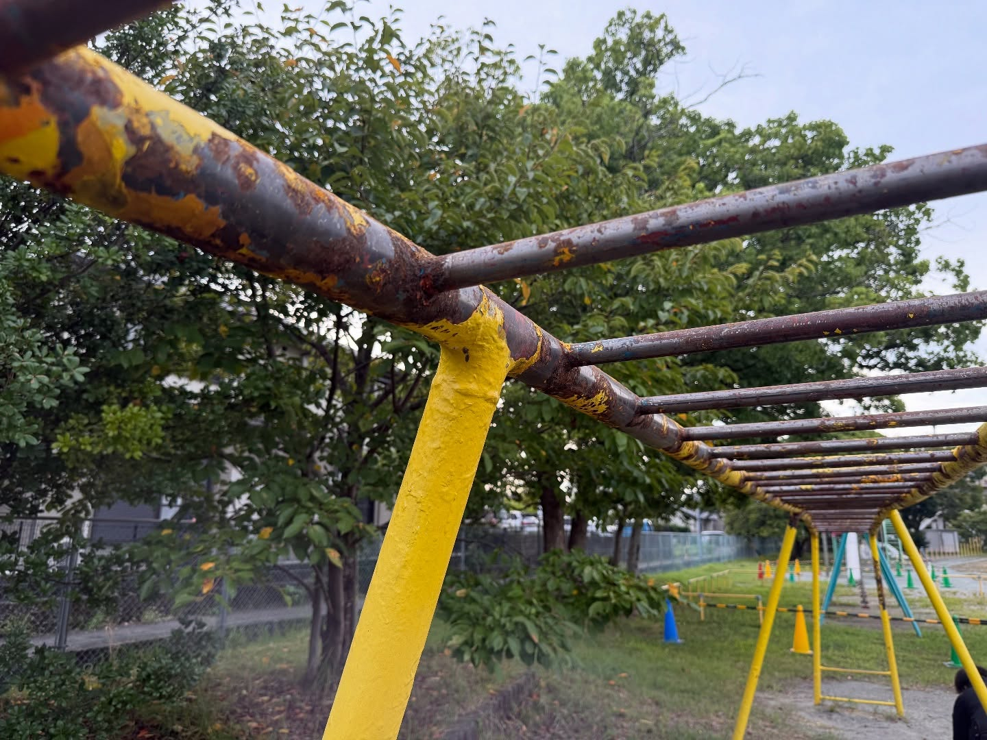 今年の8月で創業5周年を迎えるにあたり、地域への恩返しの思い...