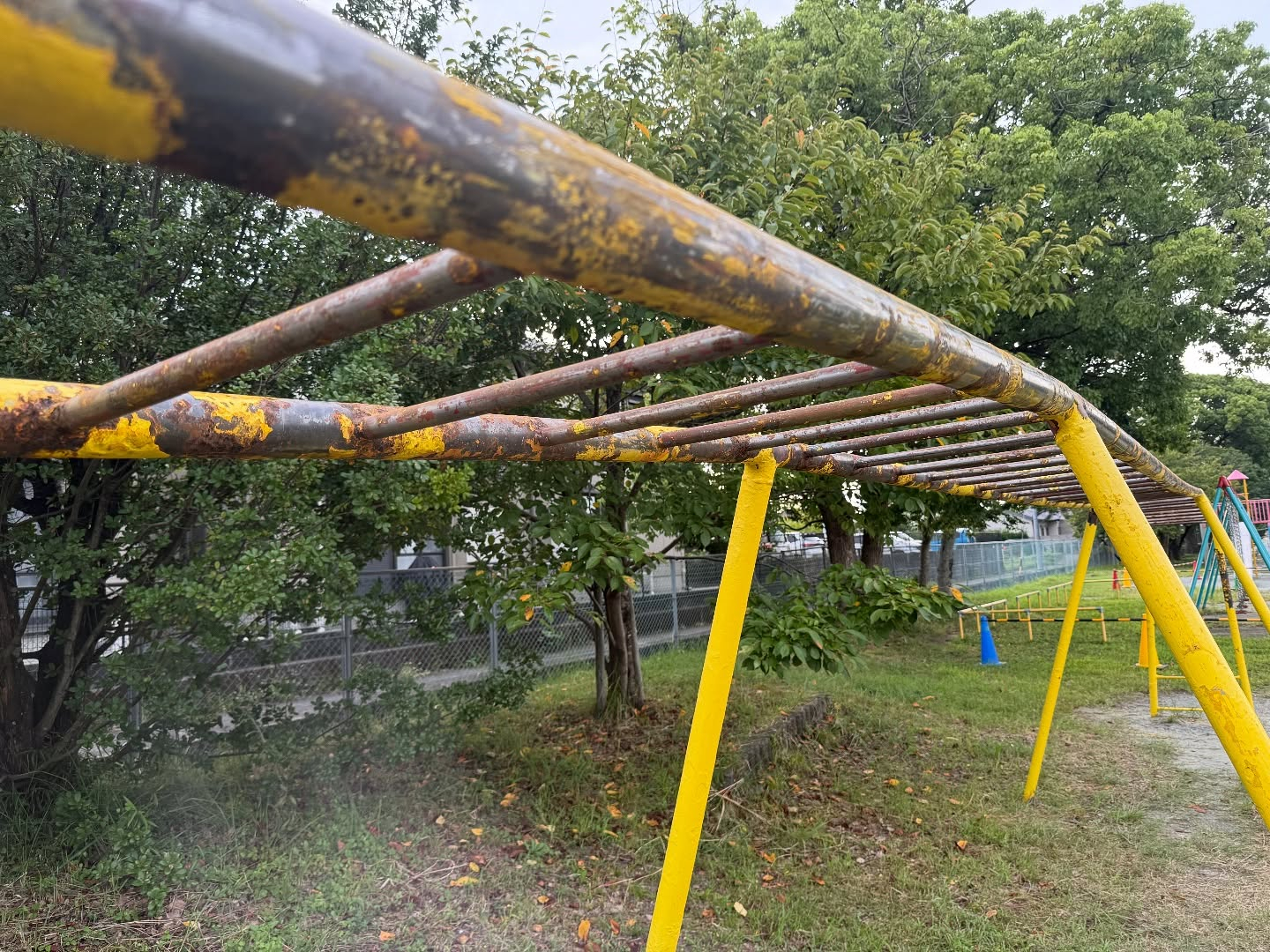 今年の8月で創業5周年を迎えるにあたり、地域への恩返しの思い...